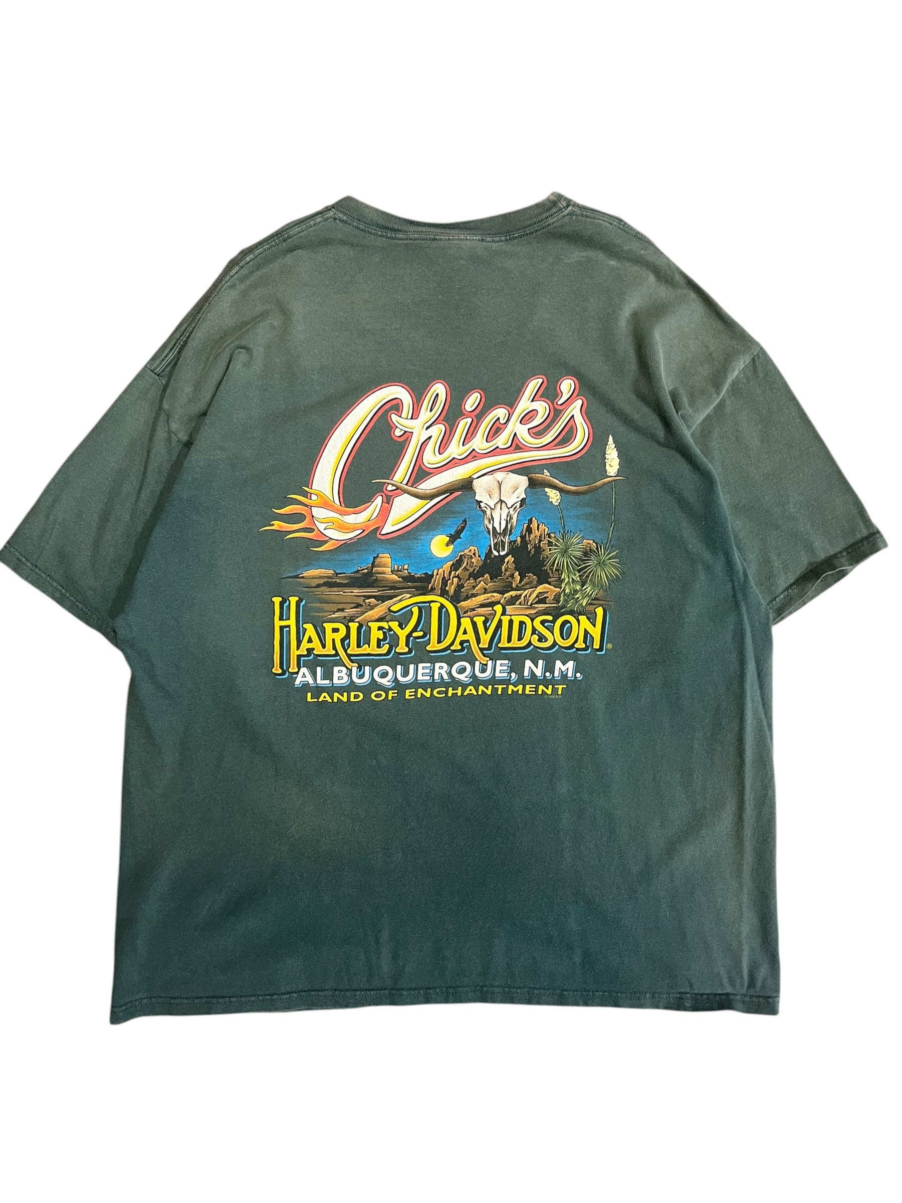 Vintage 2000s Harley Davidson Chicks shirt 2XL