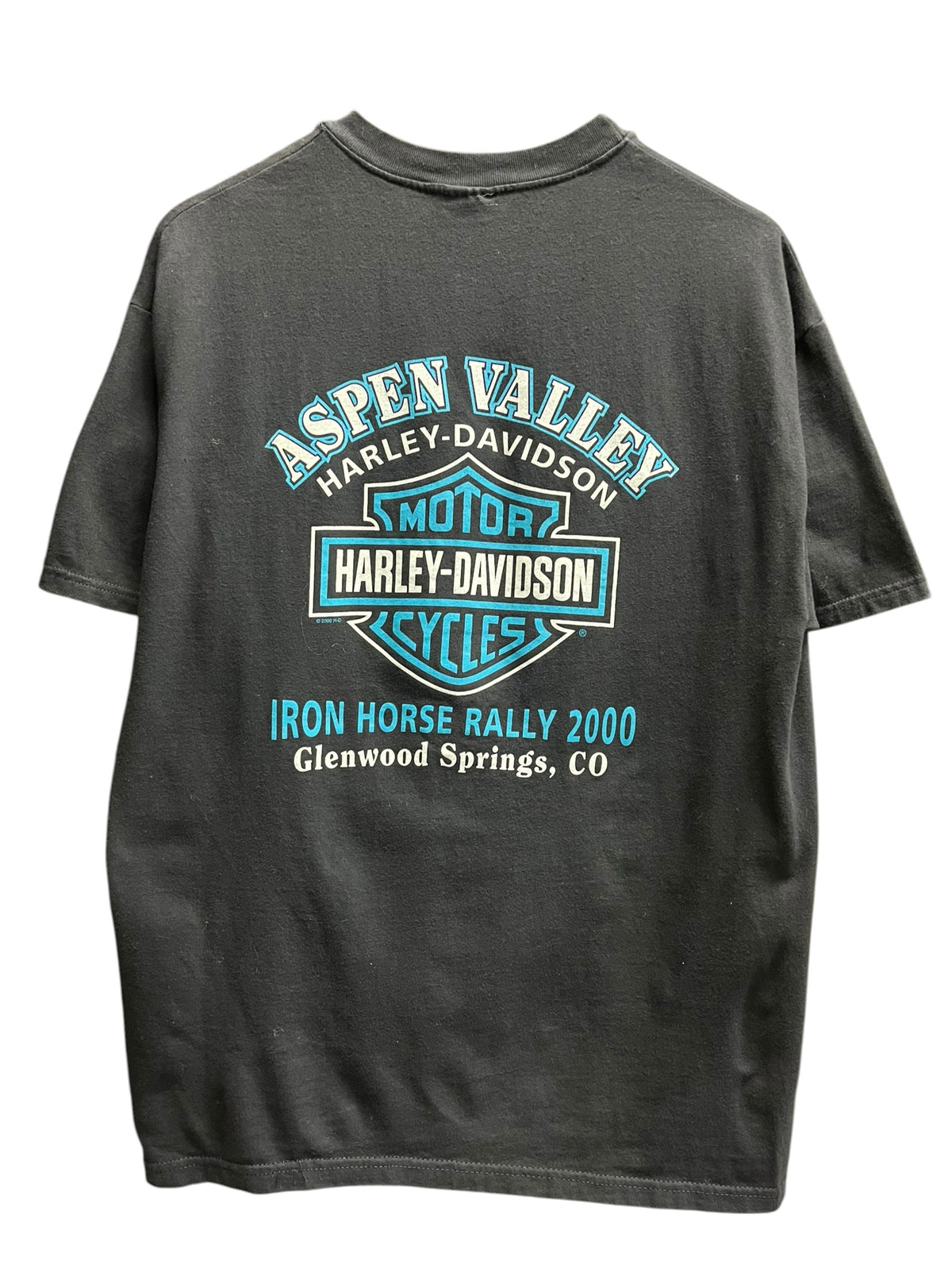 Vintage 2000s Harley Davidson Glenwood Springs, CO Shirt Large