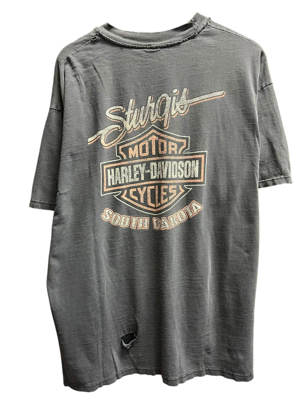 Vintage 2000s Harley Davidson South Dakota faded Shirt XL