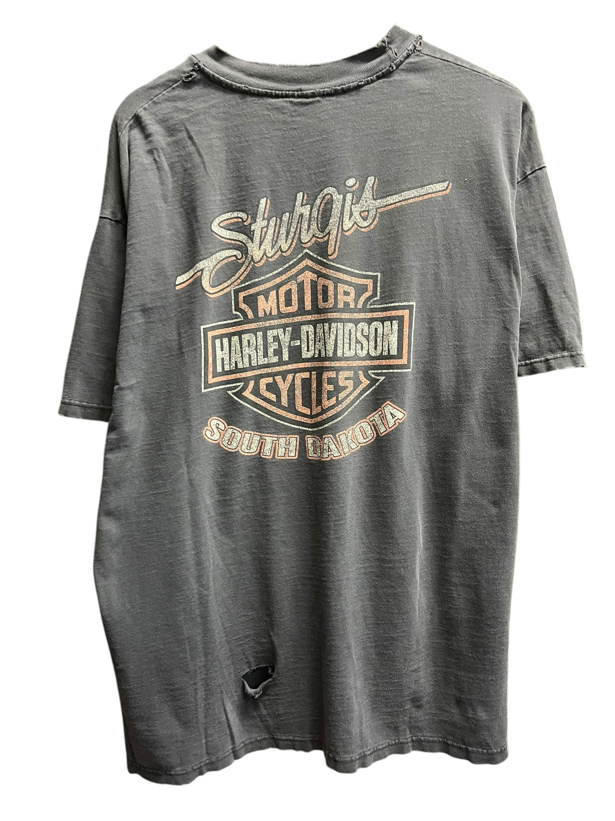 Vintage 2000s Harley Davidson South Dakota faded Shirt XL