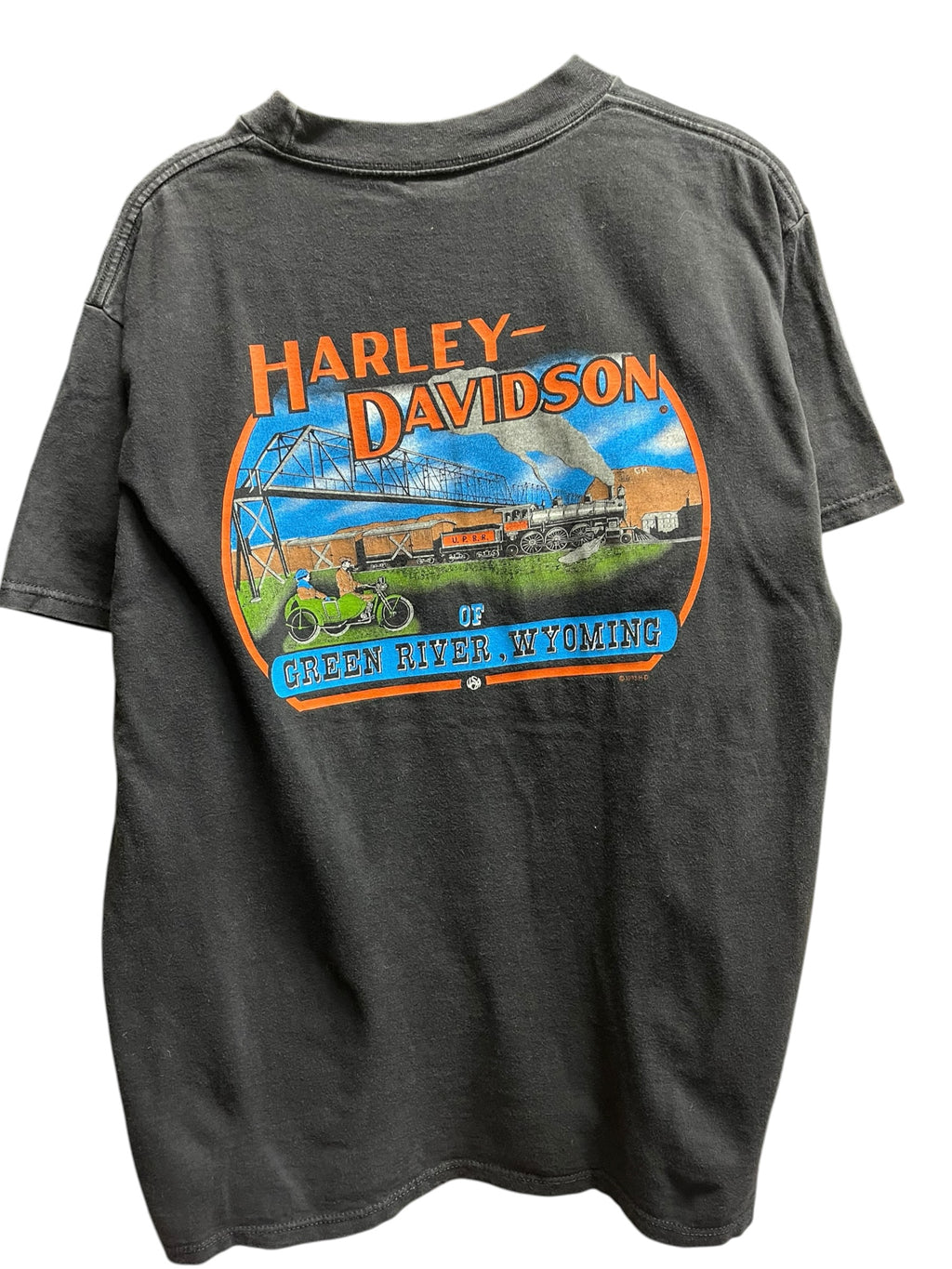 Vintage 1990s Harley Davidson Green River, Wyoming Shirt large
