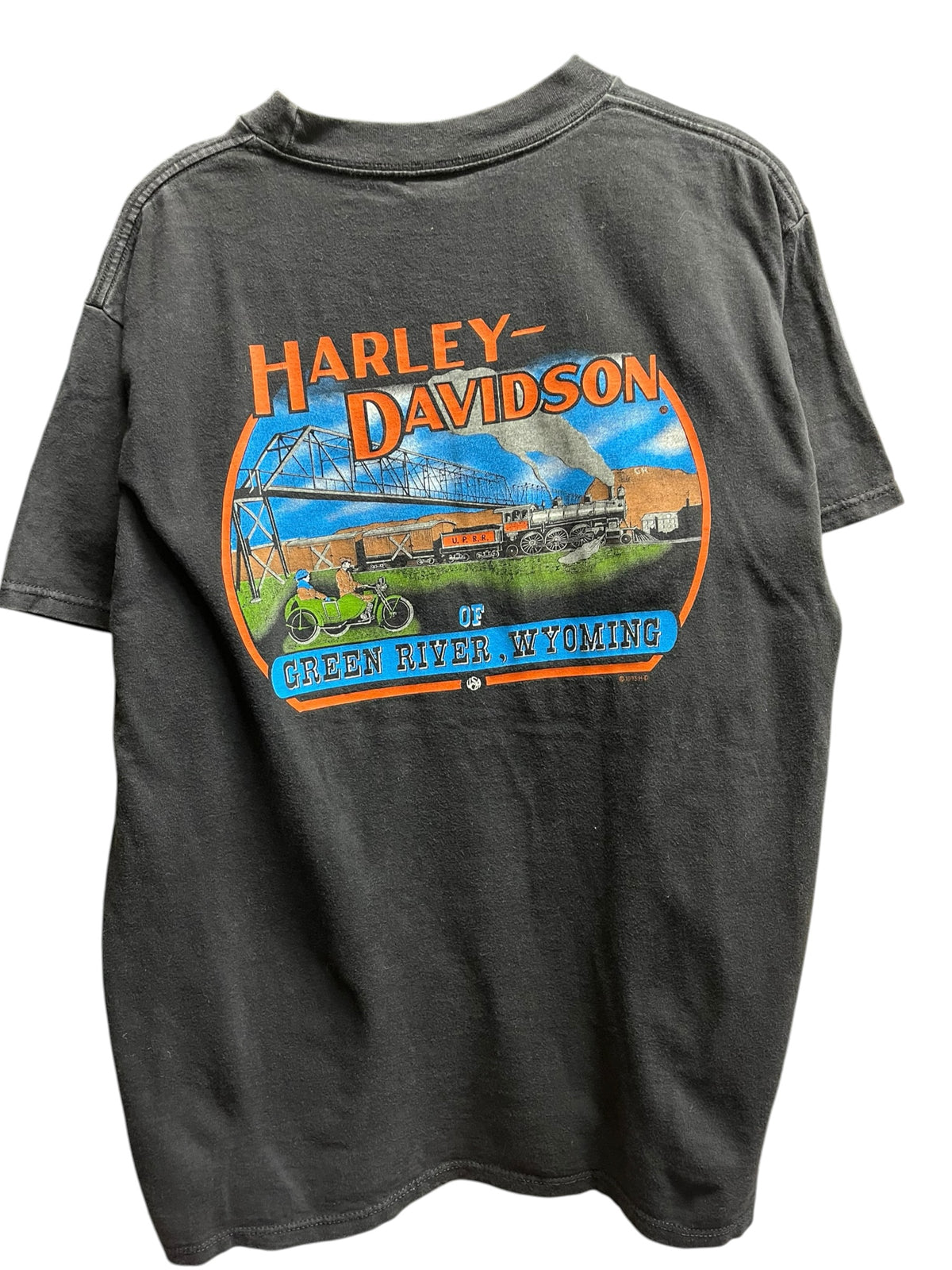 Vintage 1990s Harley Davidson Green River, Wyoming Shirt large