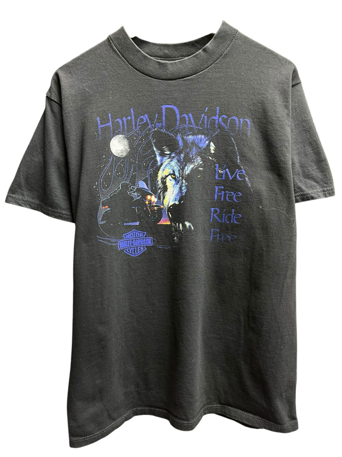 Vintage 1990s Harley Davidson Anchorage Alaska shirt Large