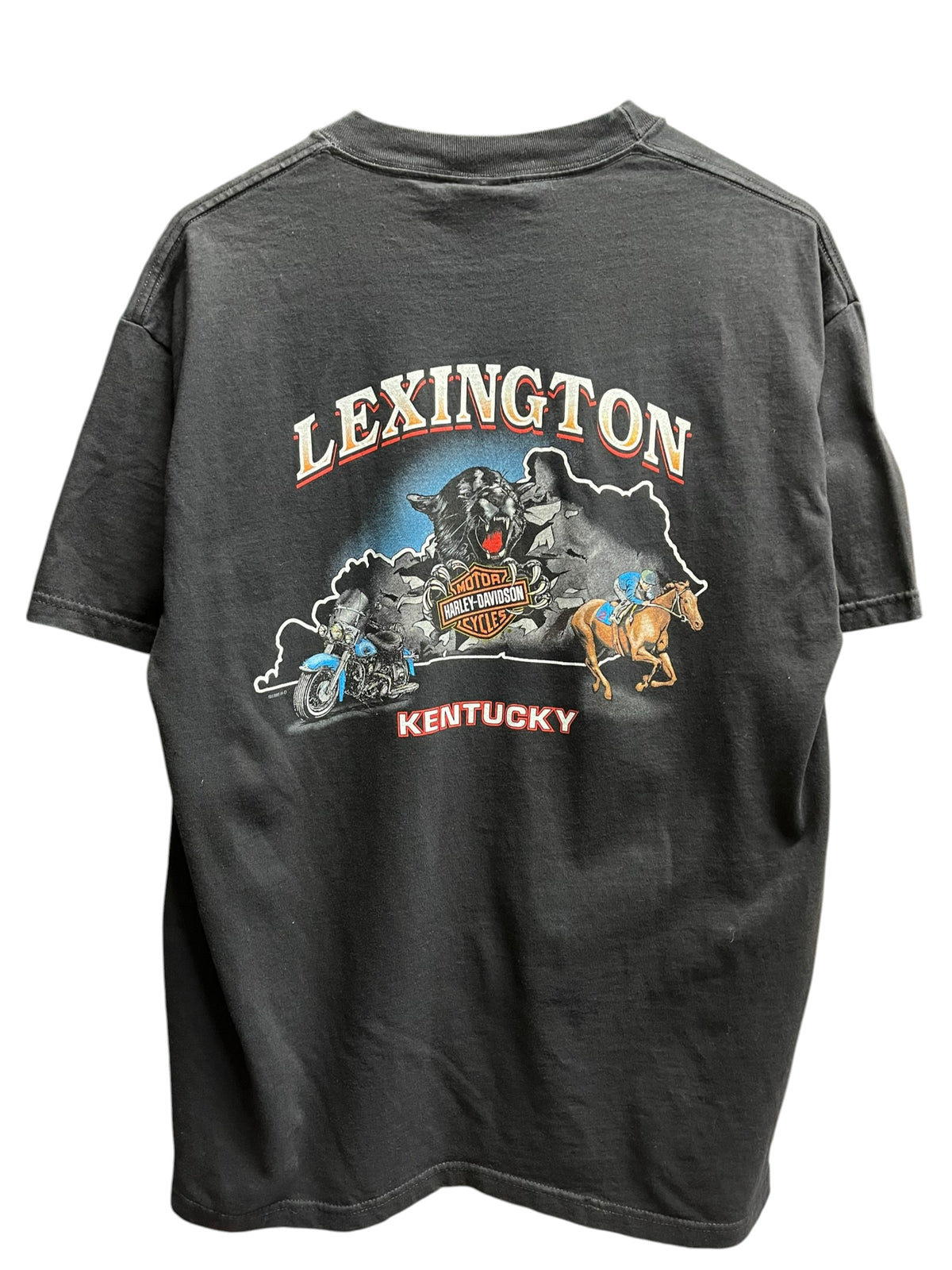 Vintage 1990s Harley Davidson Lexington Kentucky Shirt Large