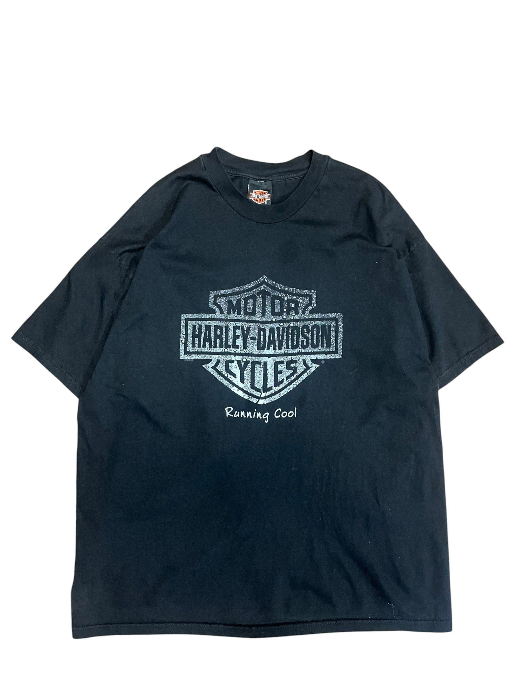 Vintage 90s Harley Davidson Mantel beach shirt size 2XL