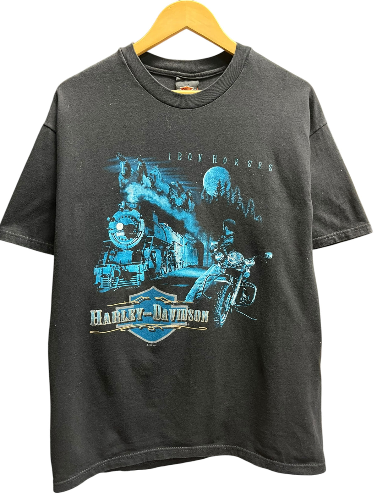 Vintage 2000s Harley Davidson Glenwood Springs, CO Shirt Large