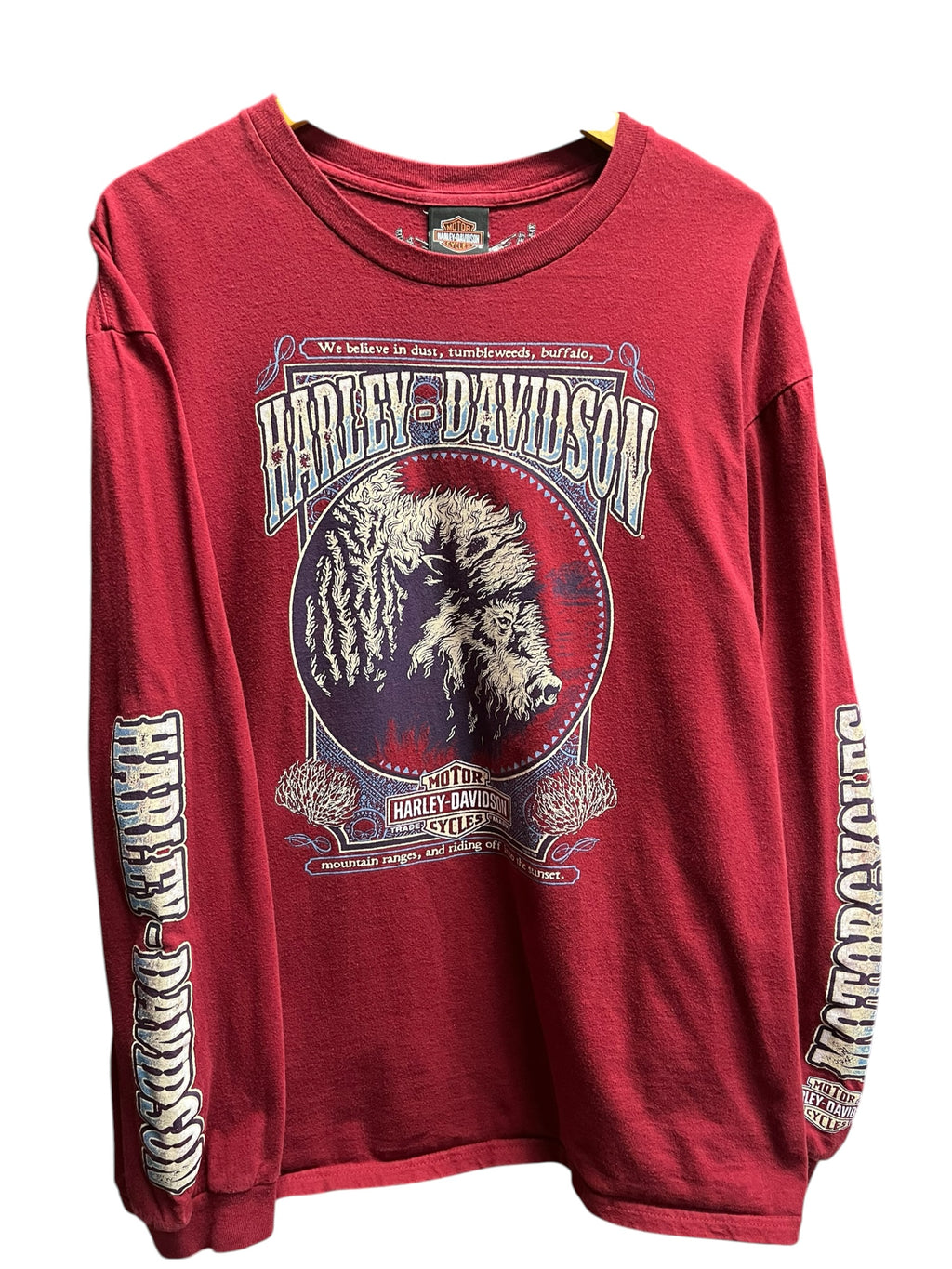 Vintage 2000s Harley Davidson Augustine, FL Long Sleeve Shirt XL