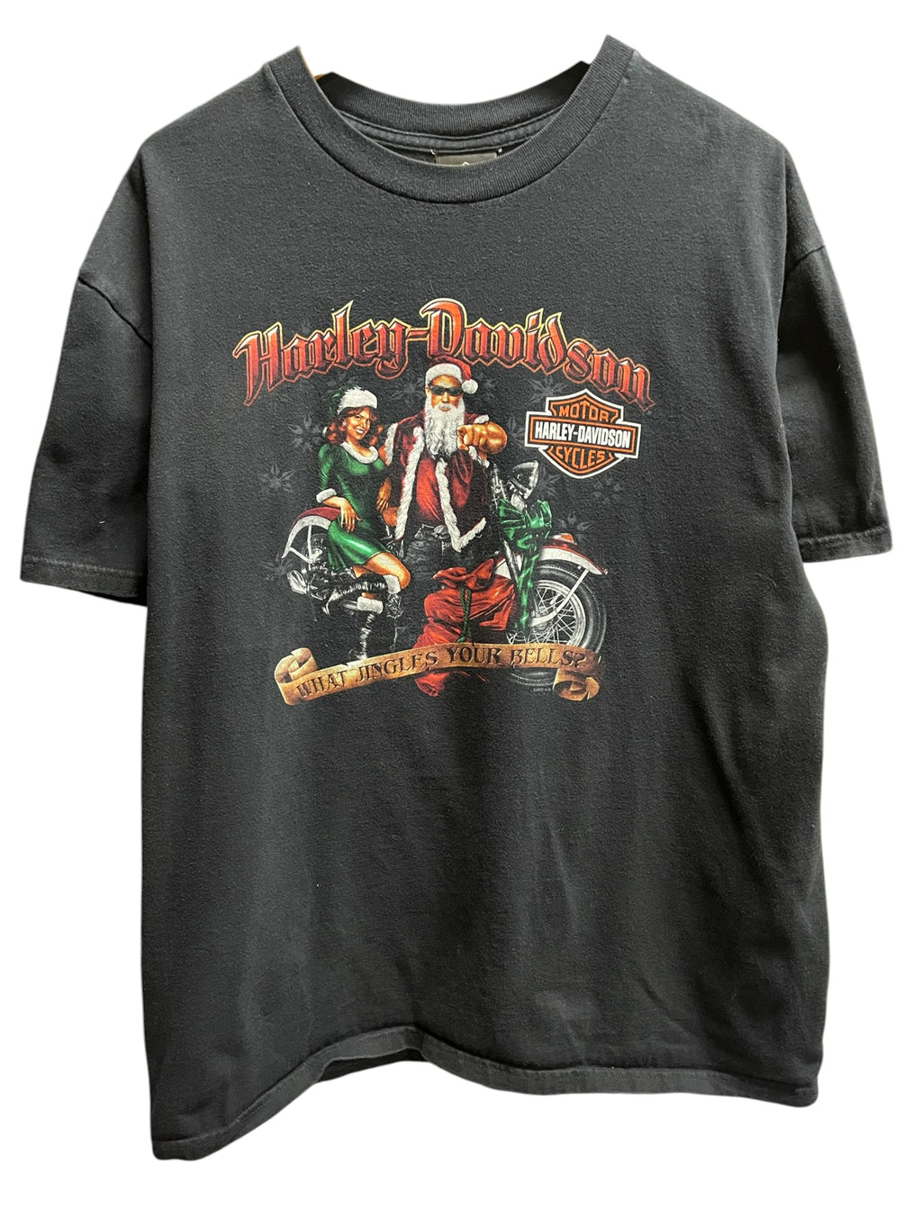 Vintage 2000s Harley Davidson Akron, Ohio Shirt XL
