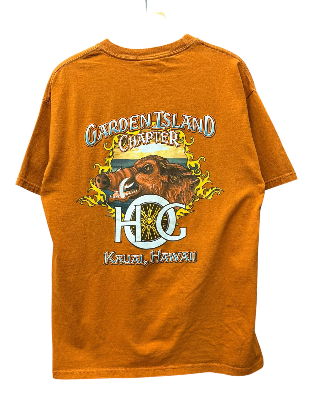 Vintage 2000s Harley Davidson Kauai, Hawaii Shirt Large