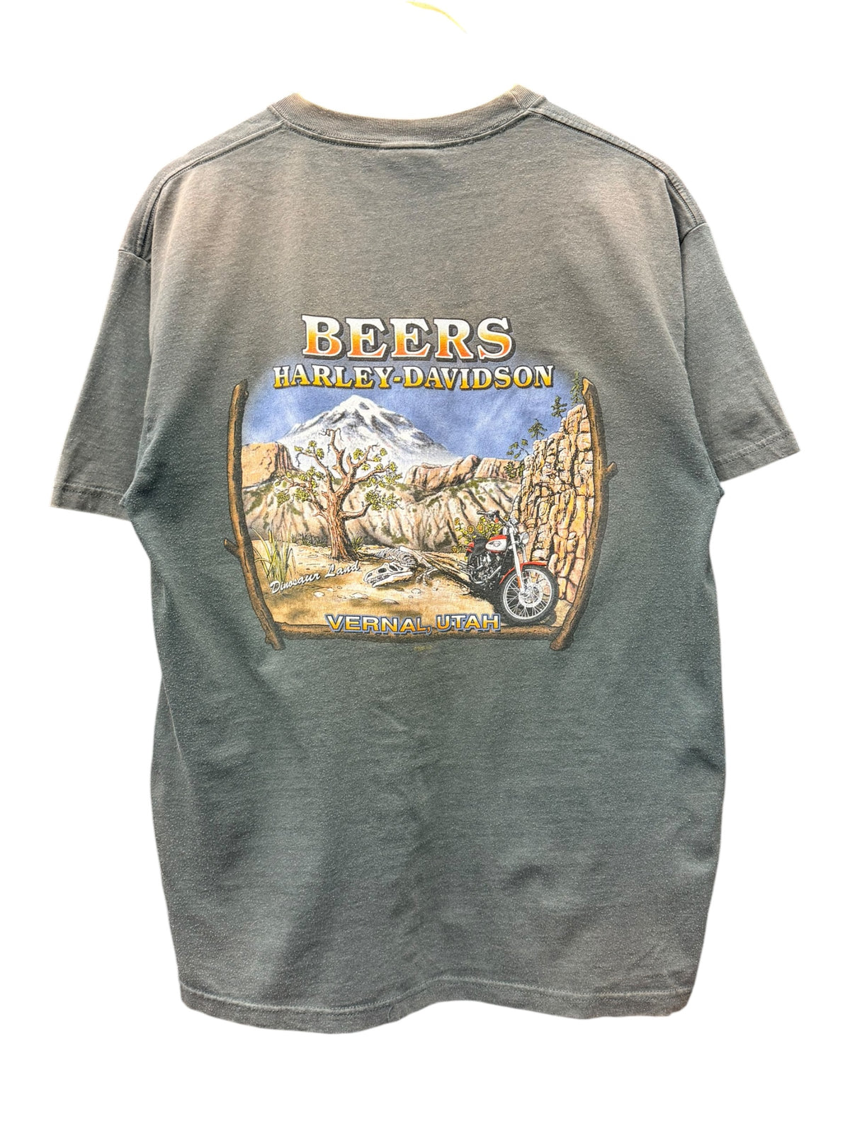 Vintage 2000s Harley Davidson Vernal, Utah Shirt Large