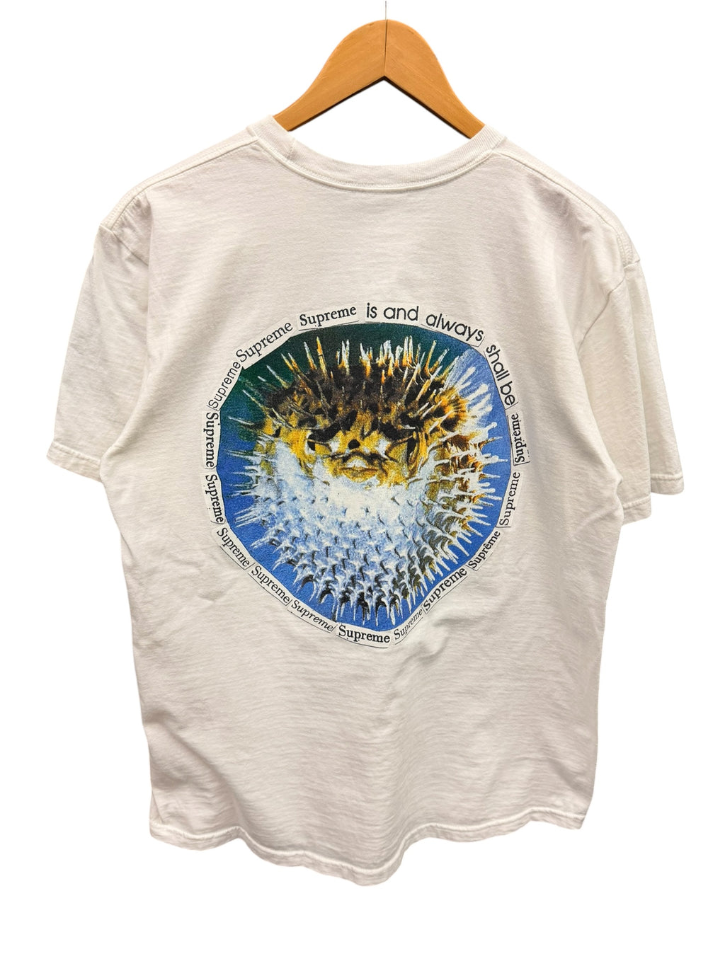 Supreme Blowfish Shirt Medium
