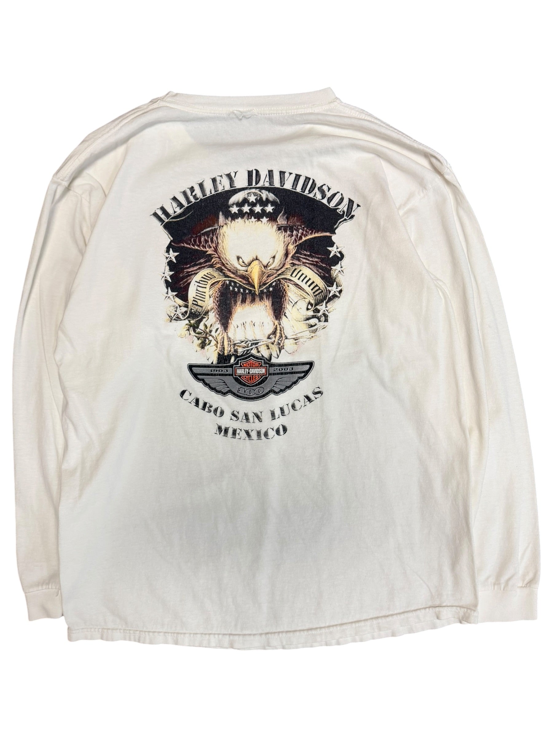 Vintage 2000s Harley Davidson Eagle Long Sleeve Medium