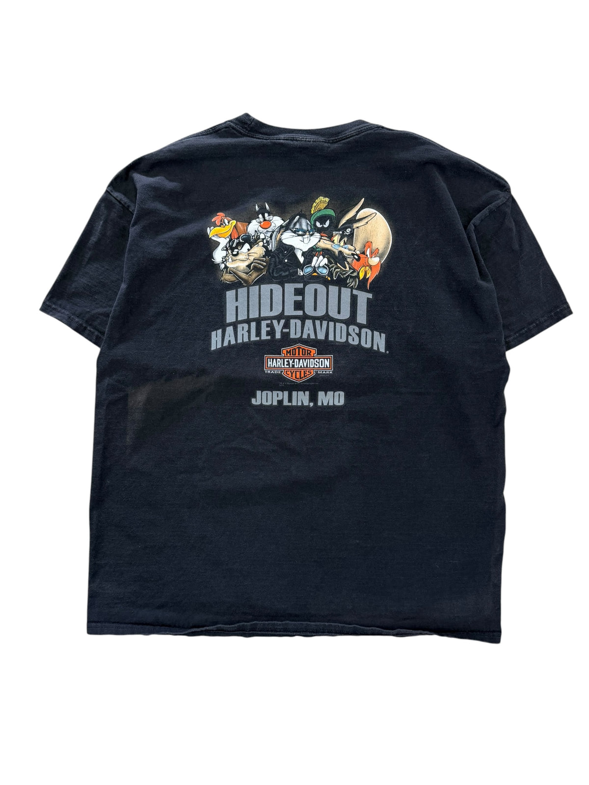 Vintage 2000s Harley Davidson Hot Head Shirt XL