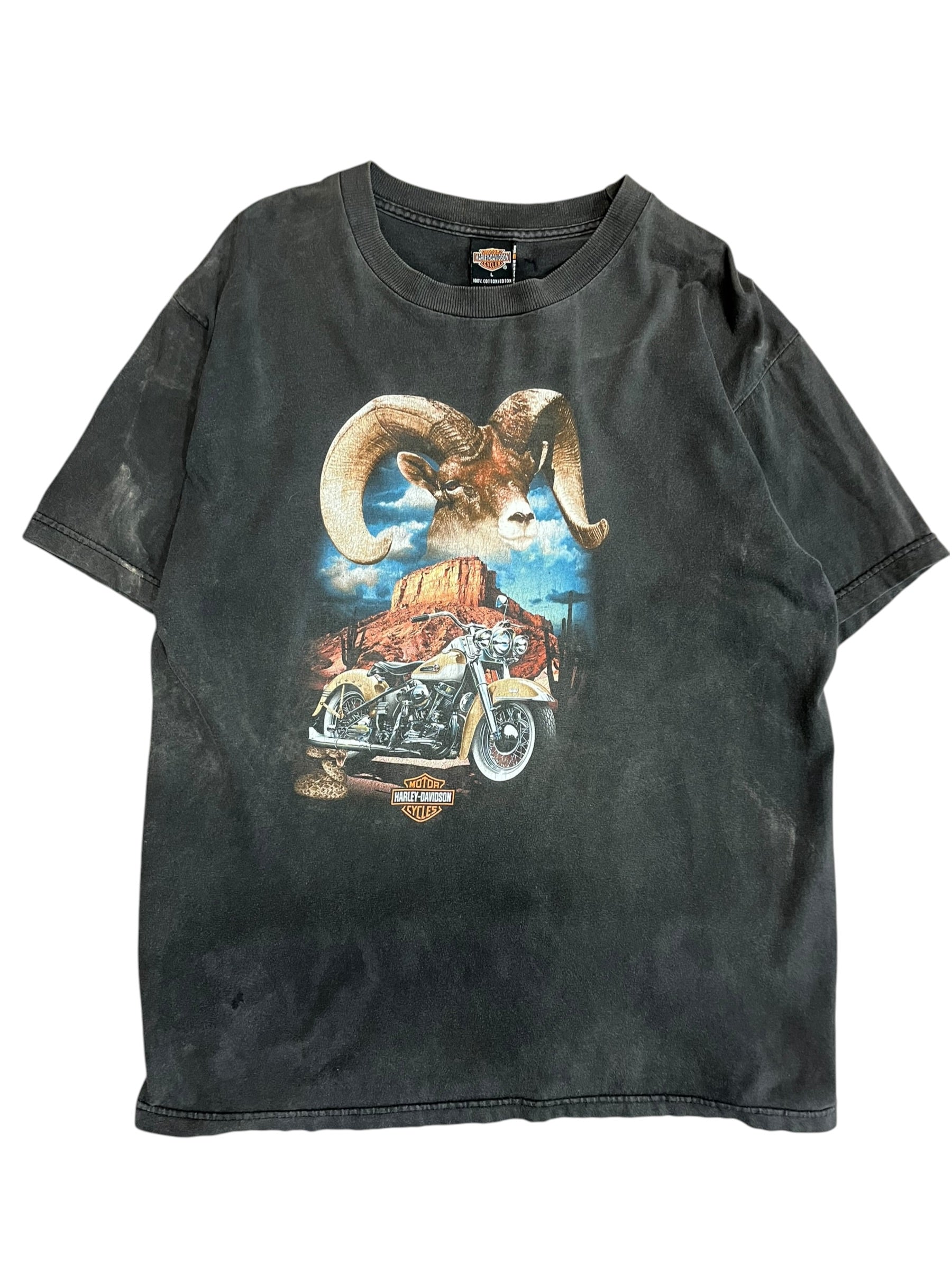 Vintage 2000s Harley Davidson Blue Springs, Missouri shirt large