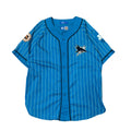 Vintage 1990s San Jose Sharks Pinstripe Starter Baseball Jersey Large