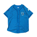 Vintage 1990s Charlotte Hornets Starter Pinstripe Baseball Jersey Large